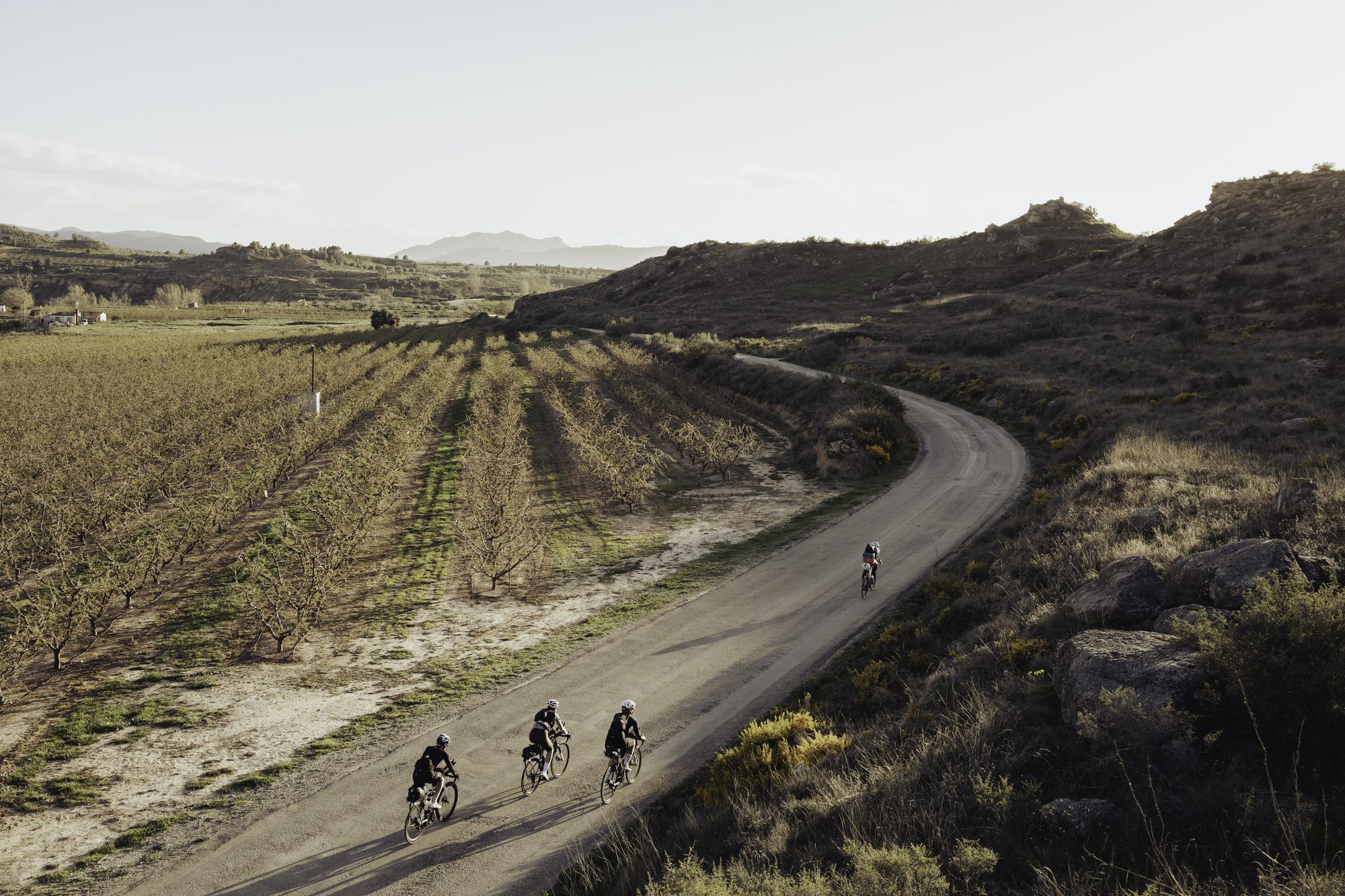 TURN04, photo 11 by @saskiacmartin