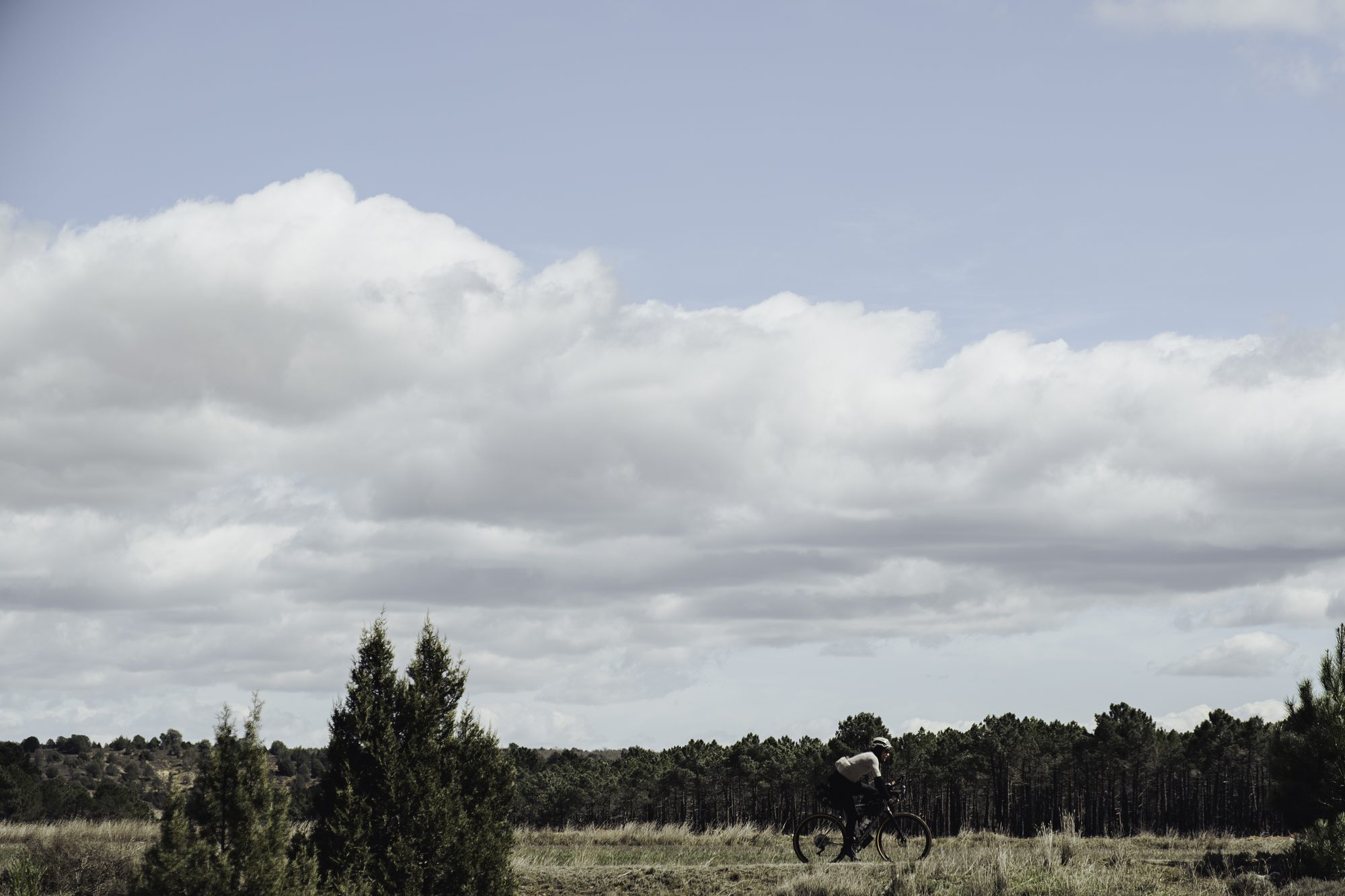 TURN04, photo 19 by @saskiacmartin