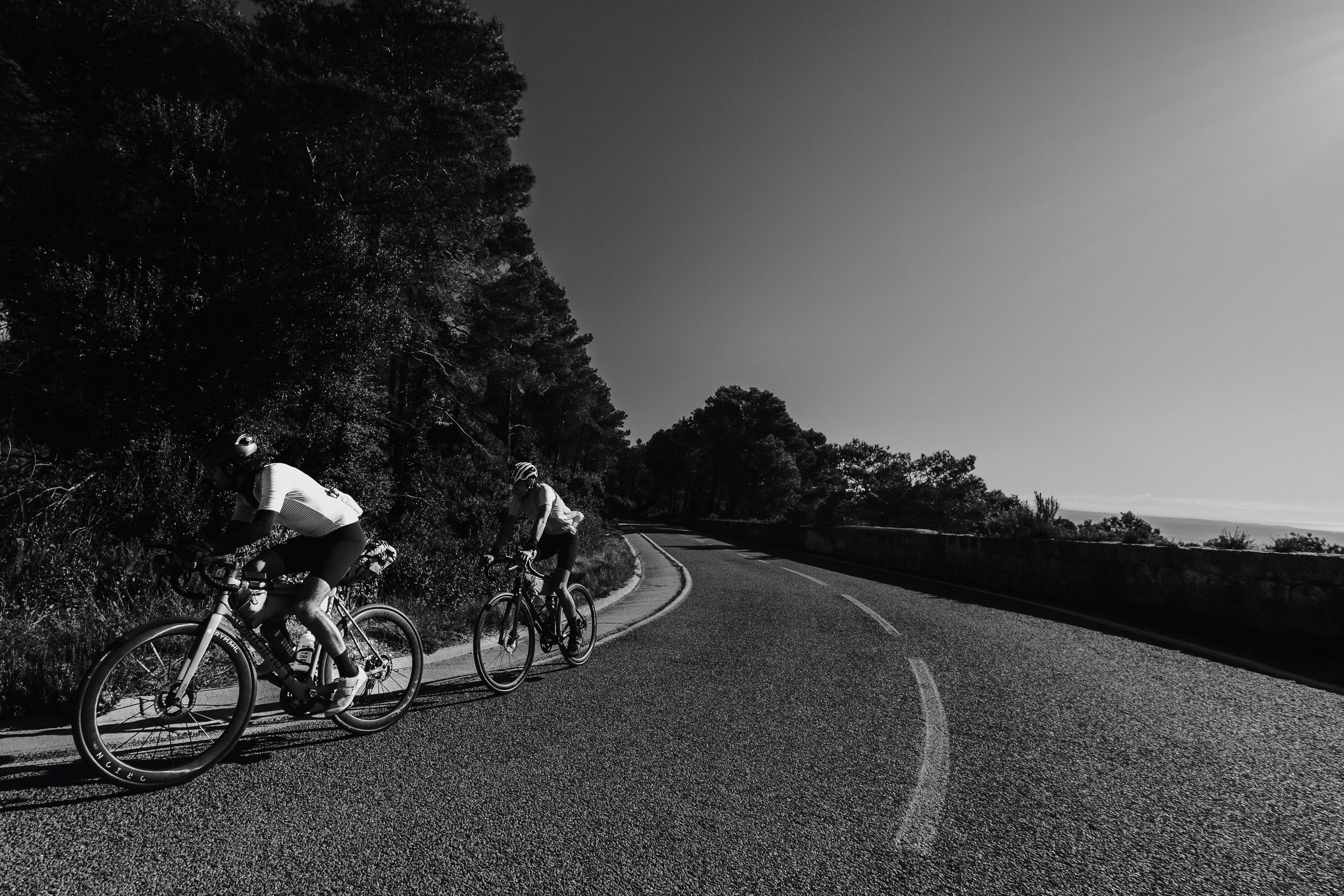 Two riders leaning into a bend on a coastal road lined with pines, black and white